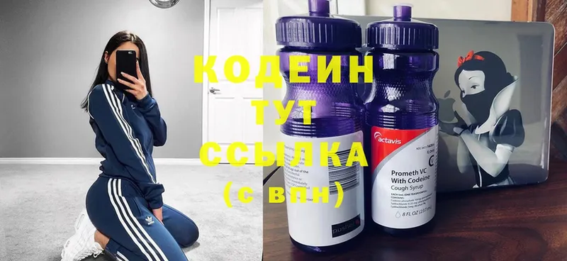 как найти закладки  omg зеркало  Кодеиновый сироп Lean Purple Drank  Петропавловск-Камчатский 