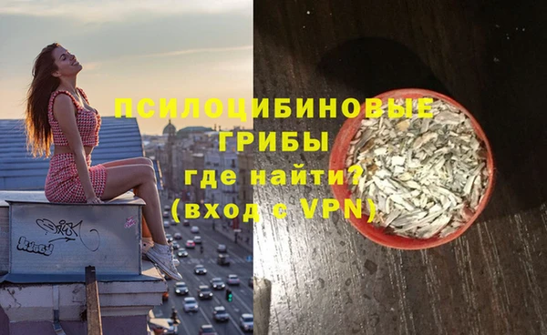 Альфа ПВП Майский