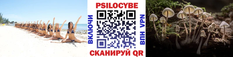 это Telegram  Петропавловск-Камчатский  Псилоцибиновые грибы ЛСД  наркотики 