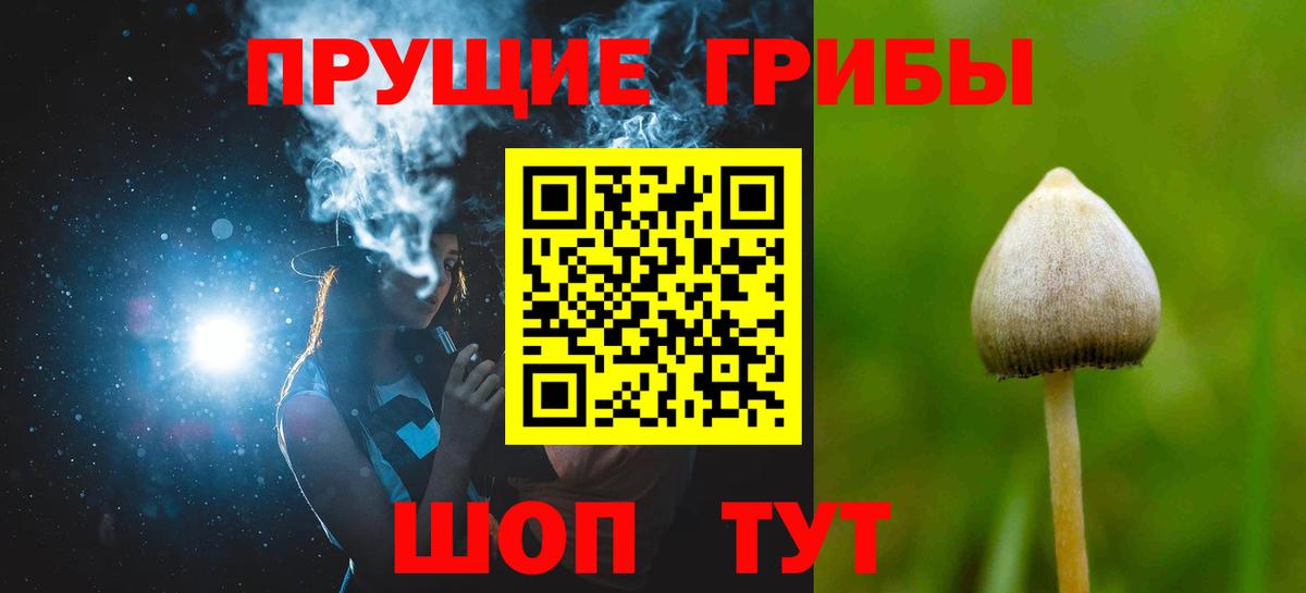 Псилоцибиновые грибы Magic Shrooms  что такое наркотик  Петропавловск-Камчатский 