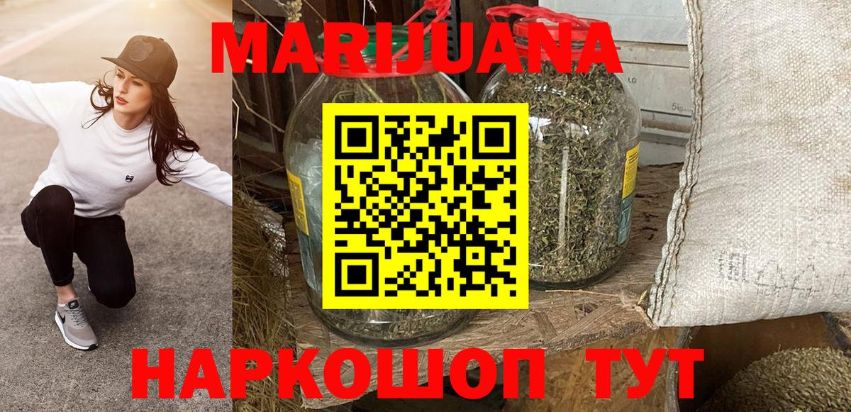 Бошки Шишки план Петропавловск-Камчатский